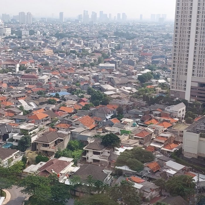 Apartemen taman anggrek sewa 85 juta per tahun