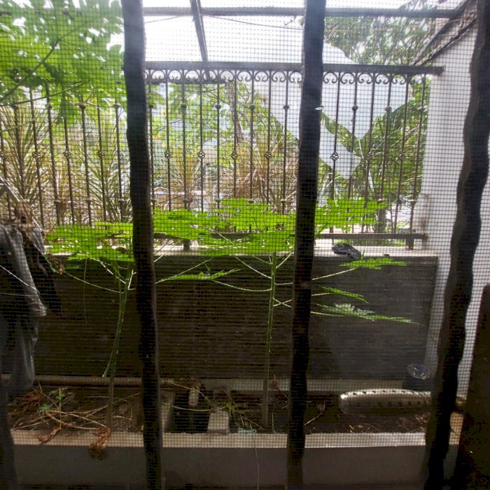 jual unit taman rasuna harga spesial hadap taman harga 1.55 milliar