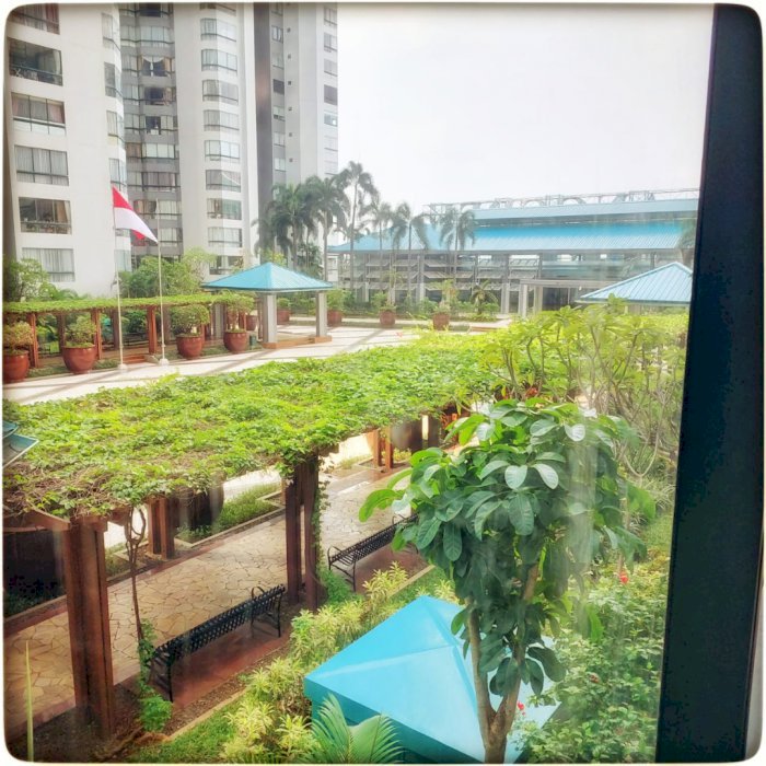 disewakan apartemen taman anggrek condominium harga 75 juta pertahun