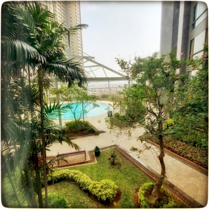 disewakan apartemen taman anggrek condominium harga 75 juta pertahun