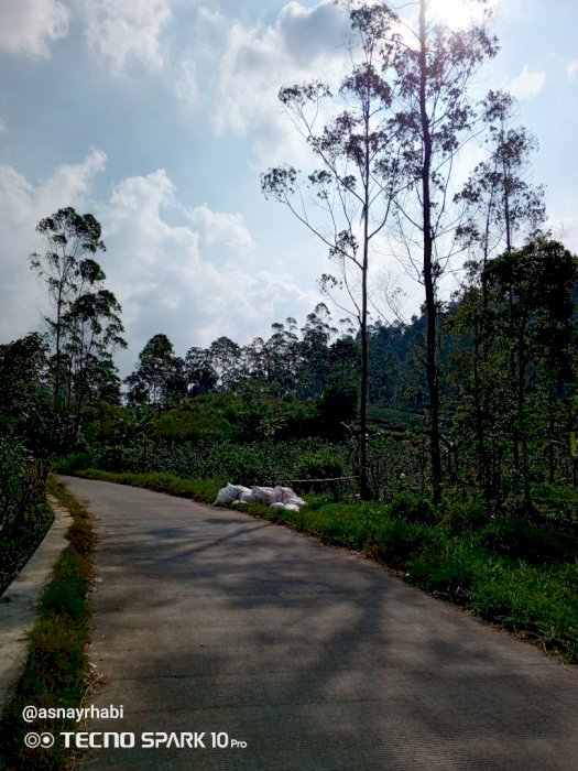 Jual tanah perkebunan produktif pinggir jalan desa