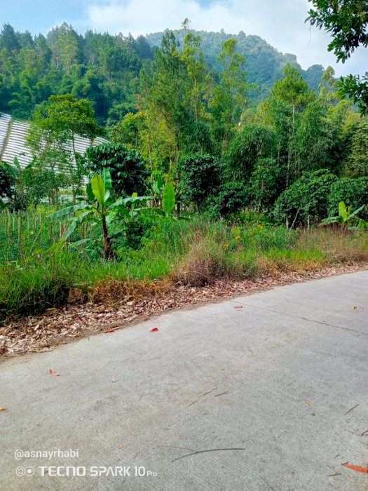 Jual tanah perkebunan cocok buat perum