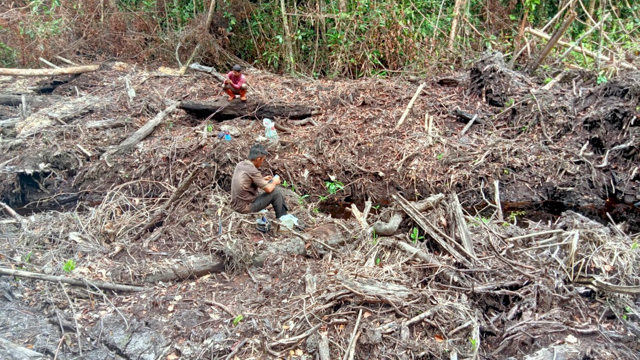 Dijual lahan datar cocok untuk pertanian dan perkebunan