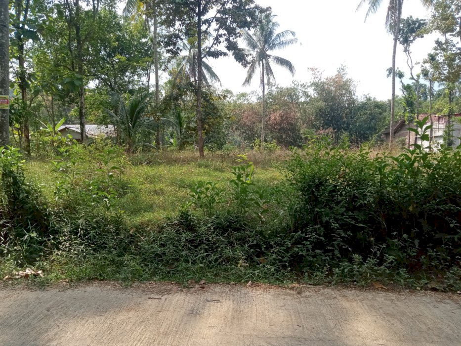 Di Jual Tanah Murah Lokasi Strategis Di Pemalang Jawa Tengah