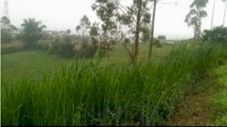 di jual tanah luas 7 hektar.lokasi wisata pangalengan Bandung
