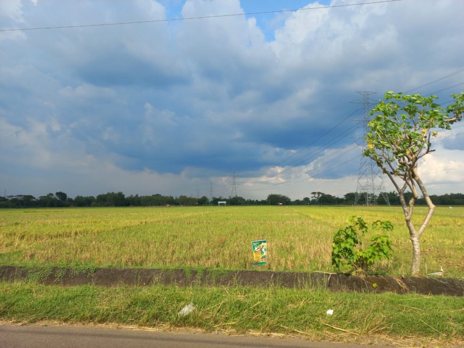 Jual Tanah di Area Persawahan