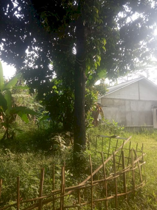 Dijual tanah kosong
