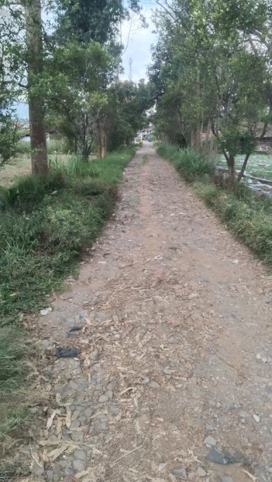 Di jual tanah luas 800 tumbak