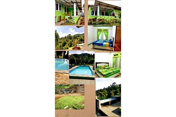 Disewa Villa: Vila Puncak Bogor