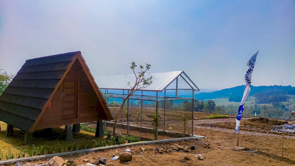Tanah Kavling Villa Bonus Kebun Anggur Produktif