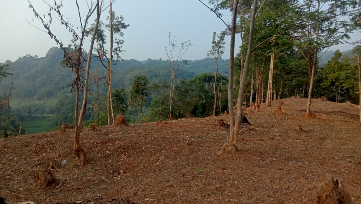 Tanah kebun  view pergunungan