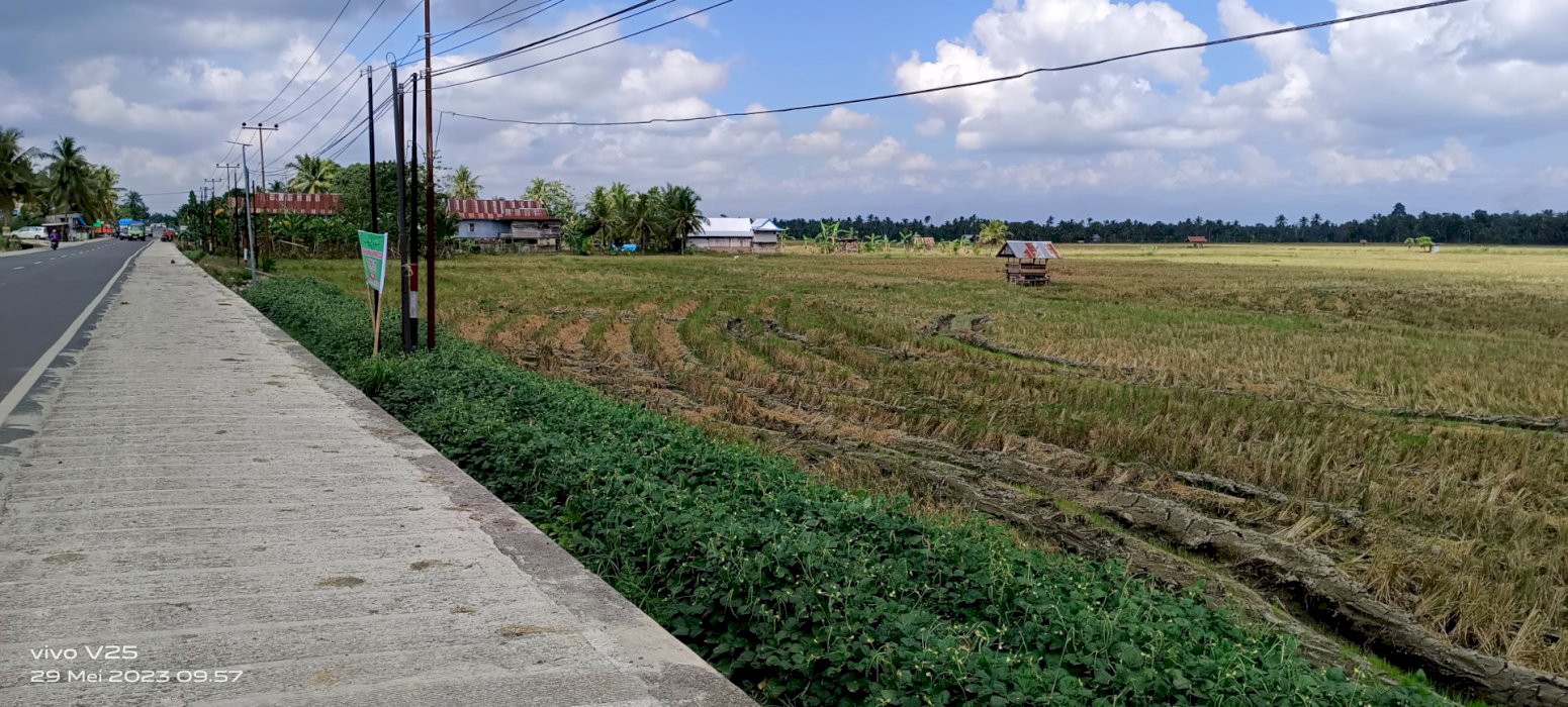Tanah Sawah dijual pas pinggir jalan poros wajo - soppeng