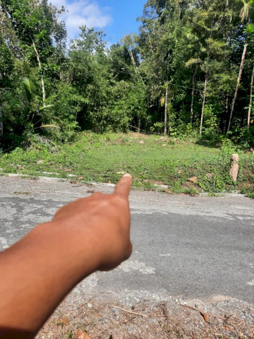 TANAH DI TEPI JALAN ASPAL 486M2, MURAH