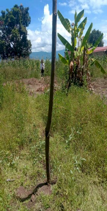 Jual Tanah di Samosir