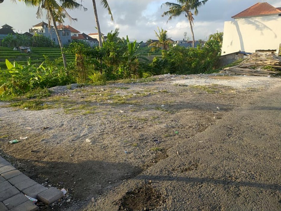 DI JUAL TANAH DI DALUNG DEKAT CANGGU BADUNG BALI