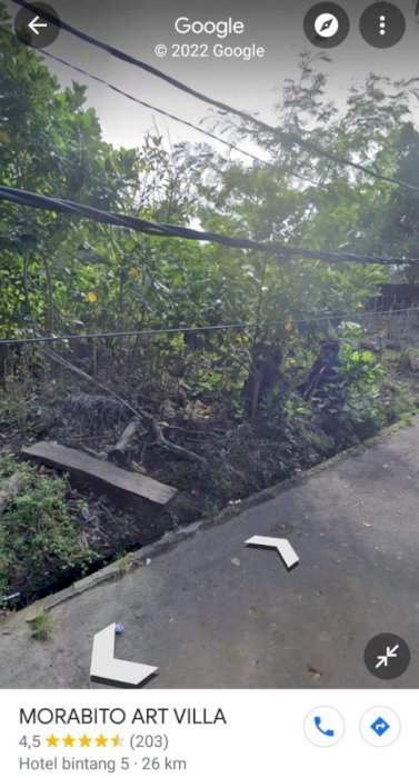 DI JUAK TANAH DI CANGGU JALAN PANTAI BERAWA KUTA UTARA BALI