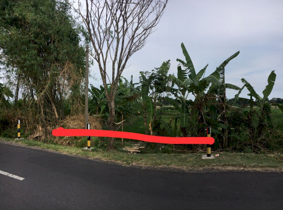 DI JUAL TANAH LUAS DI TUMBAK BAYUH PERERENAN BALI
