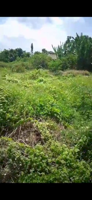 DI JUAL TANAH KAVLING DI TUKA DALUNG BALI