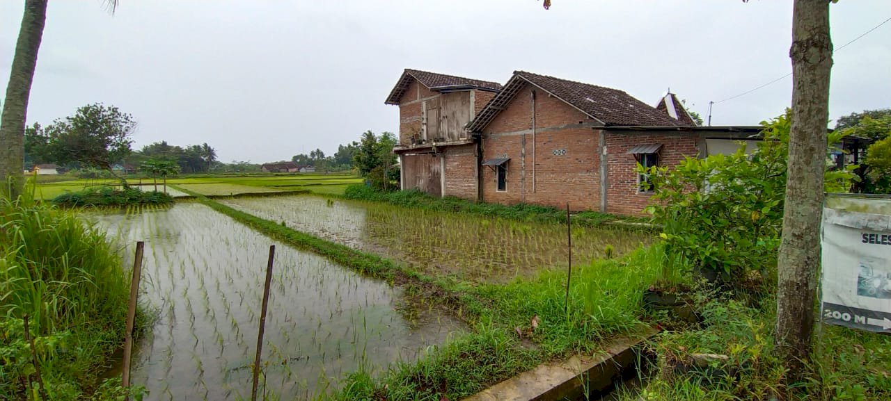 Tanah Sawah SHM Luas 600m Lokasi Strategis Pinggir Jalan Sleman Jogja