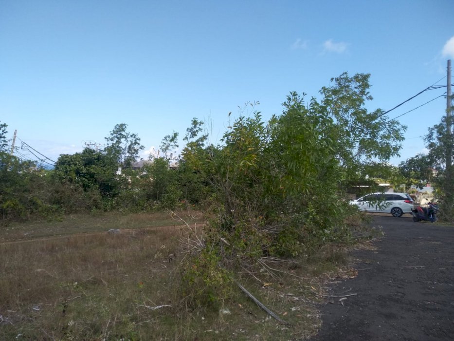 DI JUAL TANAH DI BUKIT BELAKANG HOTEL AIRIS DI BUKIT JIMBARAN BALI