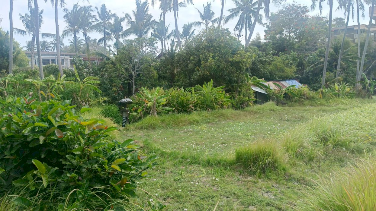 SEWA TANAH KEREN LINGKUNGAN VILLA DI CEMAGI BALI