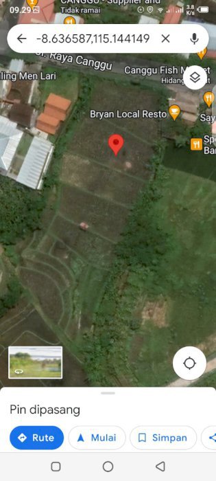 DI KONTRAKAN TANAH DI JALAN RAYA UTAMA CANGGU BALI