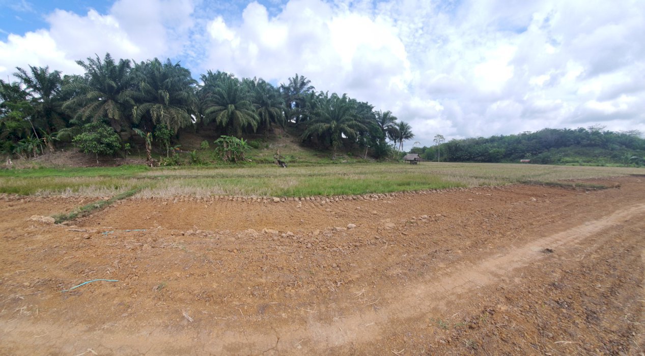Tanah Strategis IKN Desa Bukit Raya
