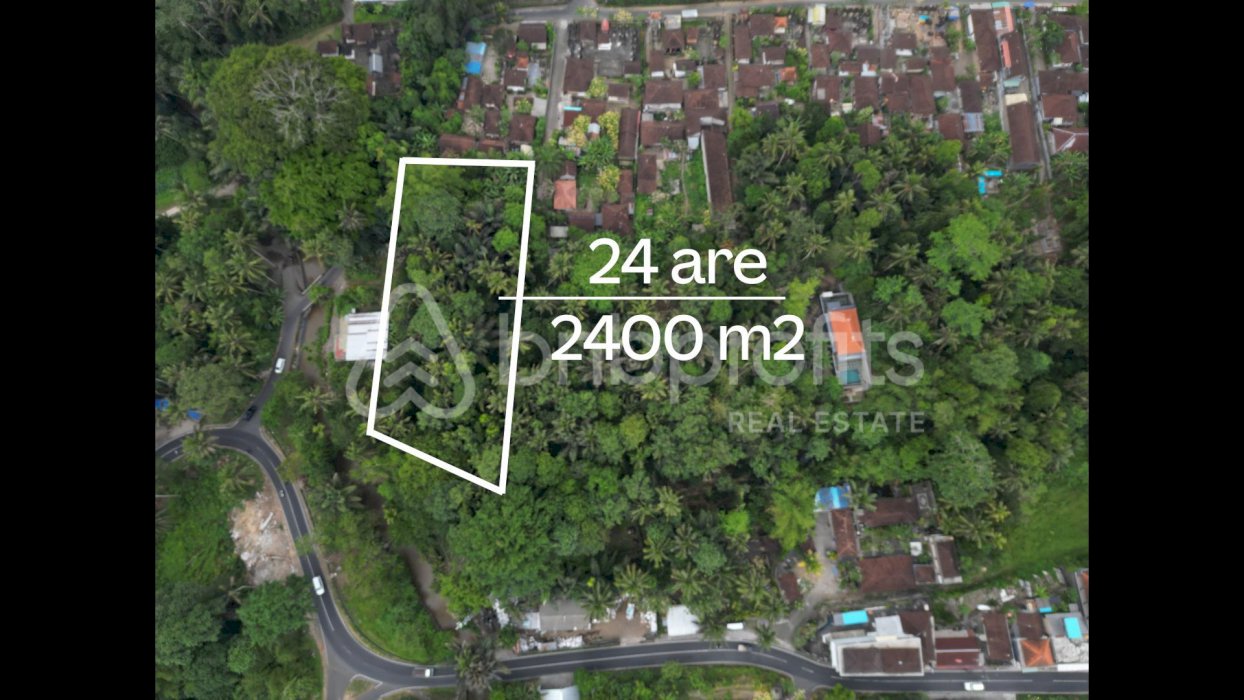 (#BSLL176) Bali Investorâ€™s Dreamland 2400 sqm Land in Sayan Ubud