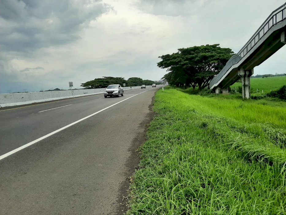 Di jual tanah lahan persawahan pinggir toll brebes