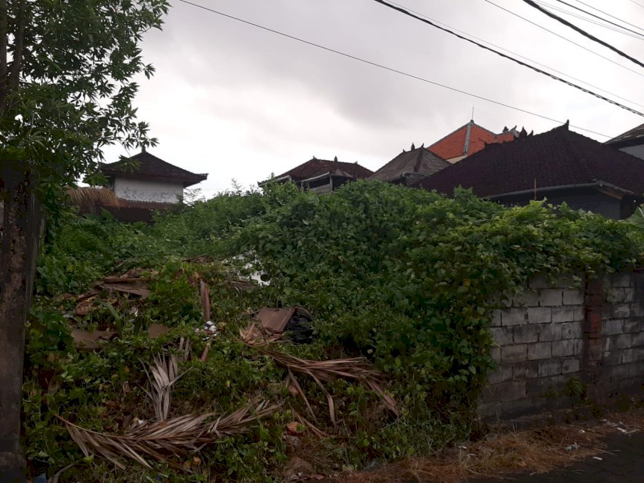 Tanah kosong di jln nangka utara, gatsu tengah