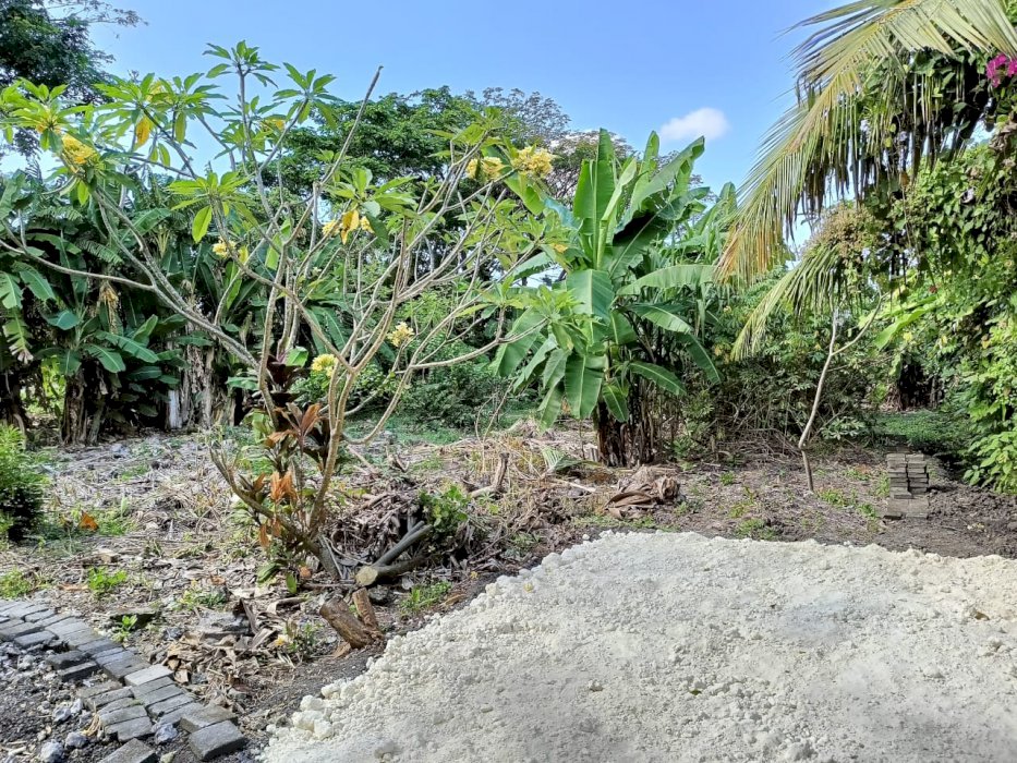 JUAL DAN SEWA TANAH LUAS DI BATU BELIG SEMINYAK BALI