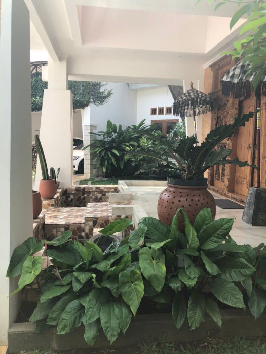 Dijual Rumah 2 Lantai Jagakarsa Jakarta Selatan Full Furnish