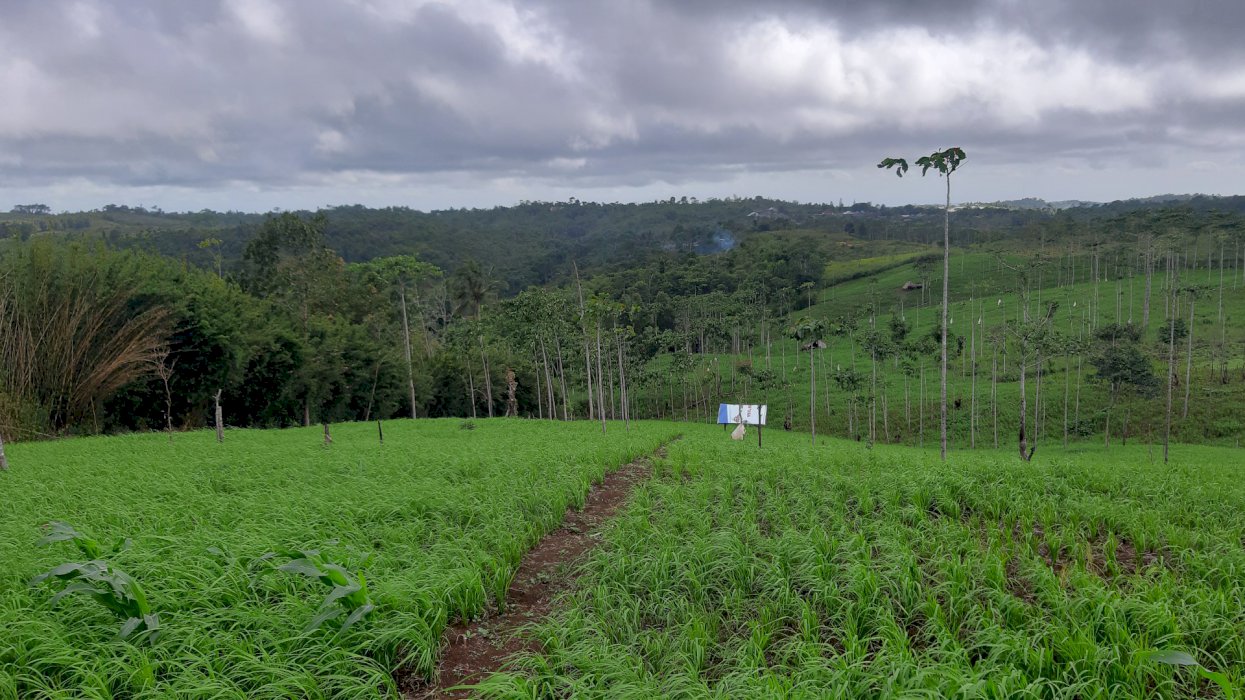 DIJUAL ! TANAH DI SUKABUMI (TANPA PERANTARA)