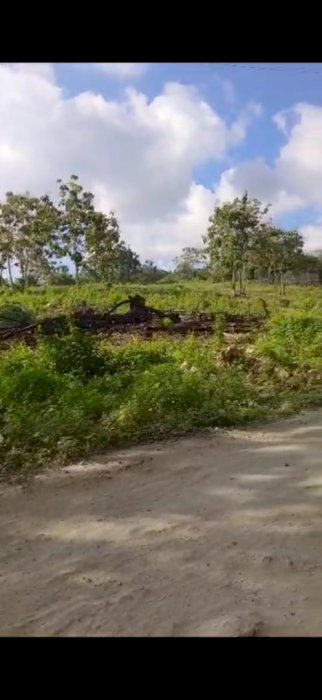 DI JUAL TANAH DI BALANGAN JIMBARAN BADUNG BALI LUAS 2 HEKTAR
