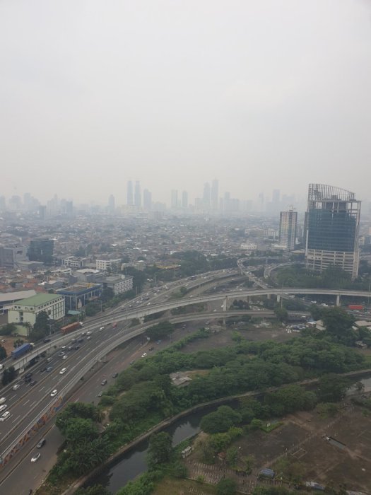 JUAL UNIT TERBAIK HARGA SPESIAL TAMAN ANGGREK CONDOMINIUM