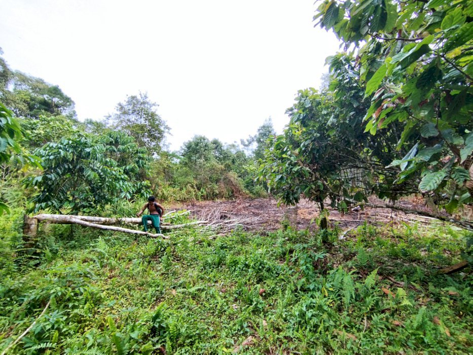Tanah lokasi sangat Strategis Pinggir pantai