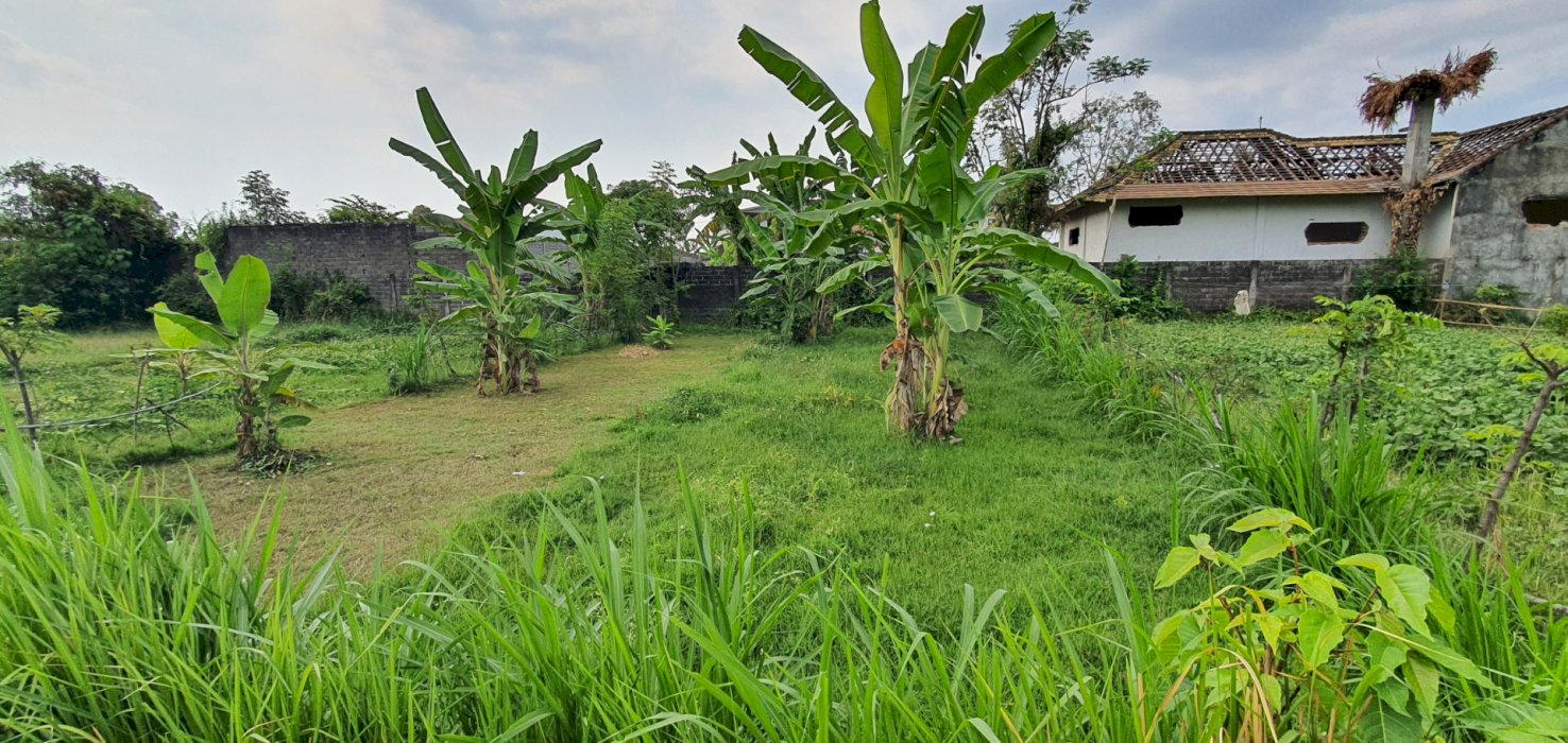 Tanah di kawasan elite Lovina