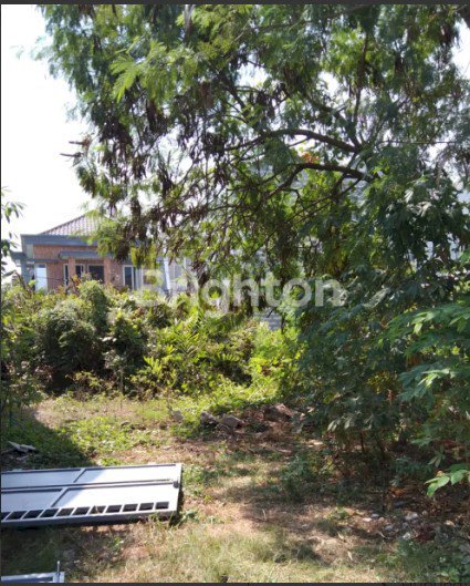TANAH GUNUNG ANYAR SURABAYA SIAP BANGUN LOKASI BAGUS