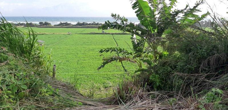 Tanah pinggir jalan dengan view sawah dan laut