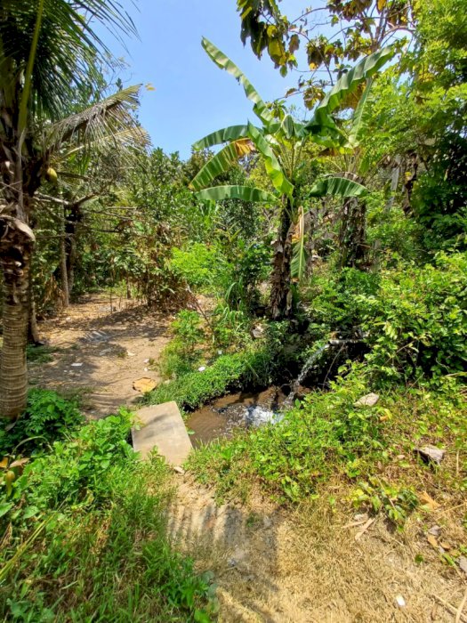 DIJUAL TANAH LUAS DI LOSS SUNGAI AREA VILA DI JALAN PANDAK BADUNG BALI