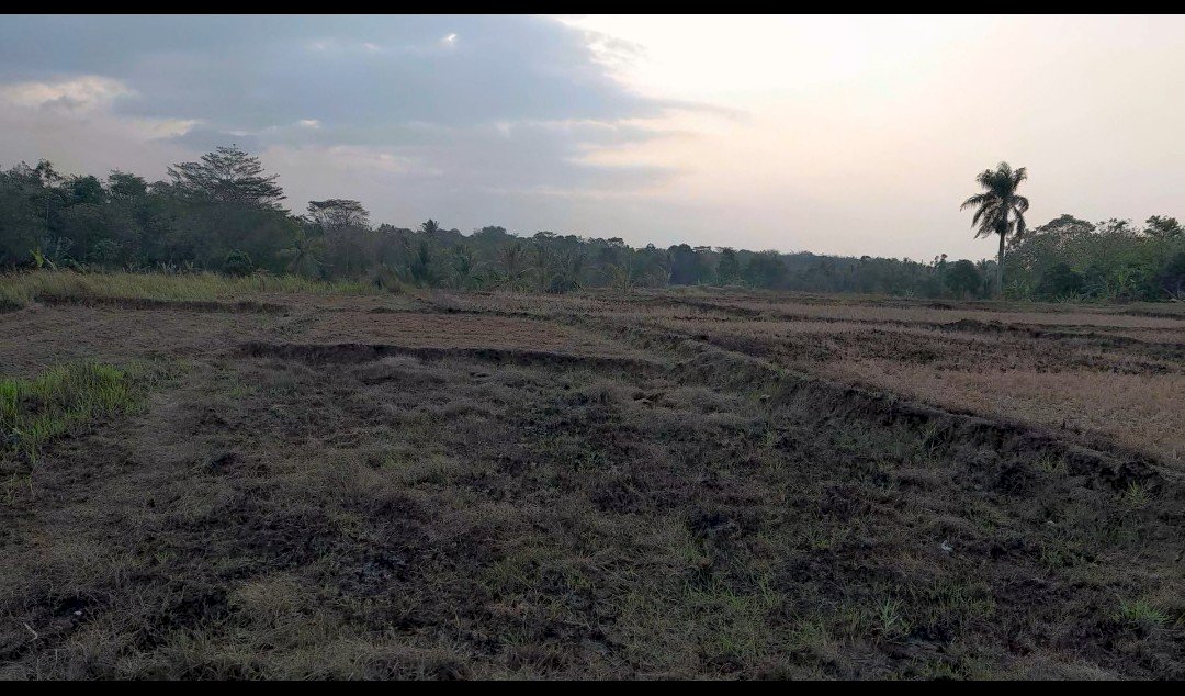 Tanah kosong luas +-  8000 mtr