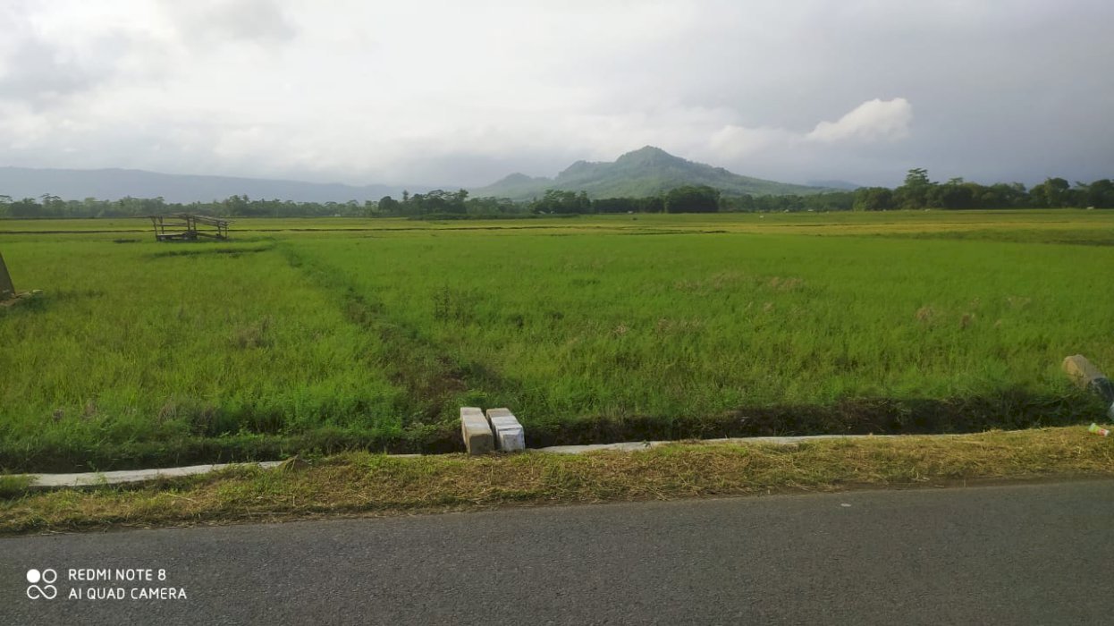 Jual lahan sawah produktif 400 ha perluasan sampai 1000 ha