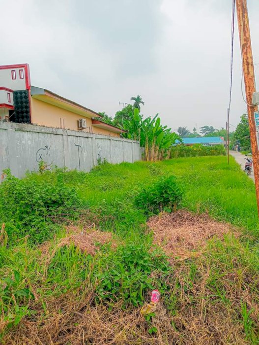 Di jual cepat tanah murah pinggir pasar