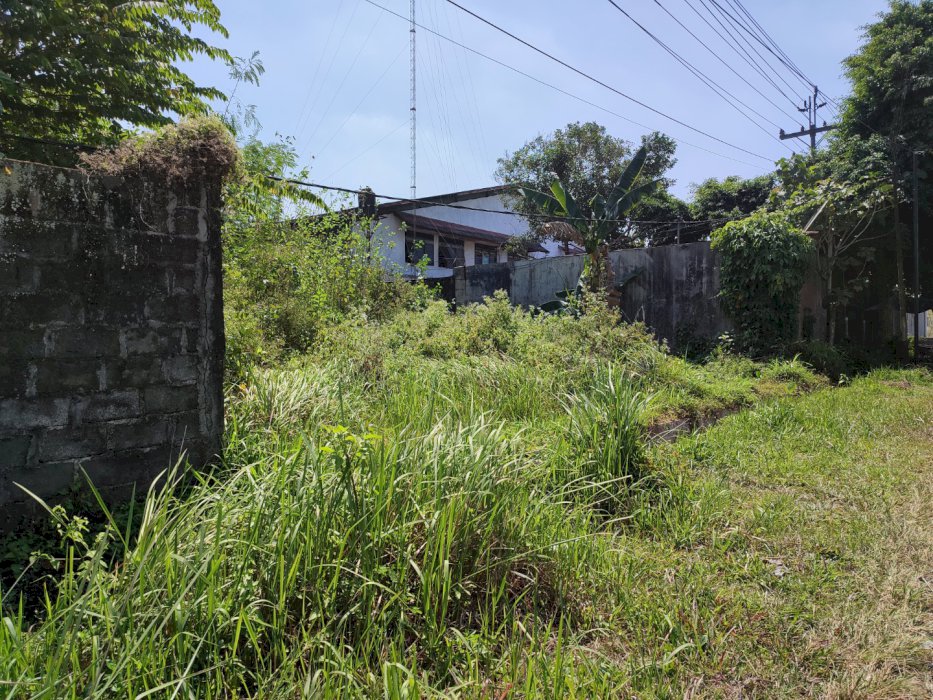 Dijual Tanah Sleman Yogyakarta
