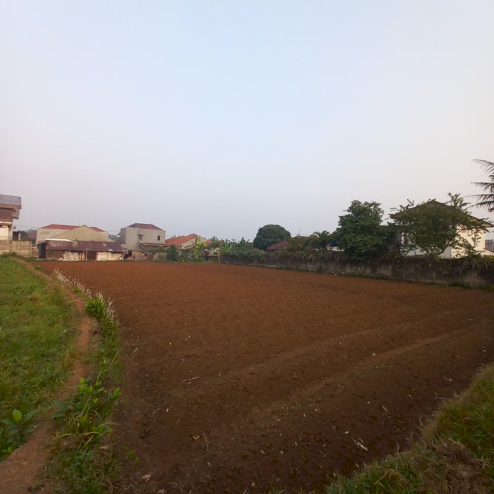 Tanah Ciomas - Dramaga Bogor