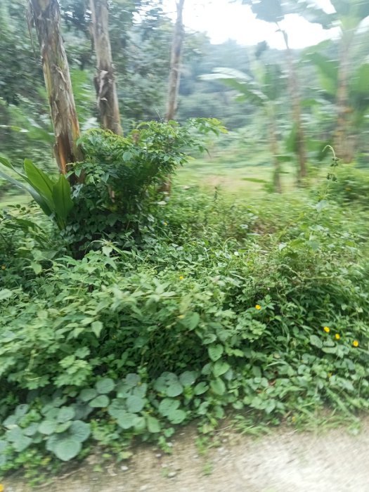 Jual tanah sawah kebun empang