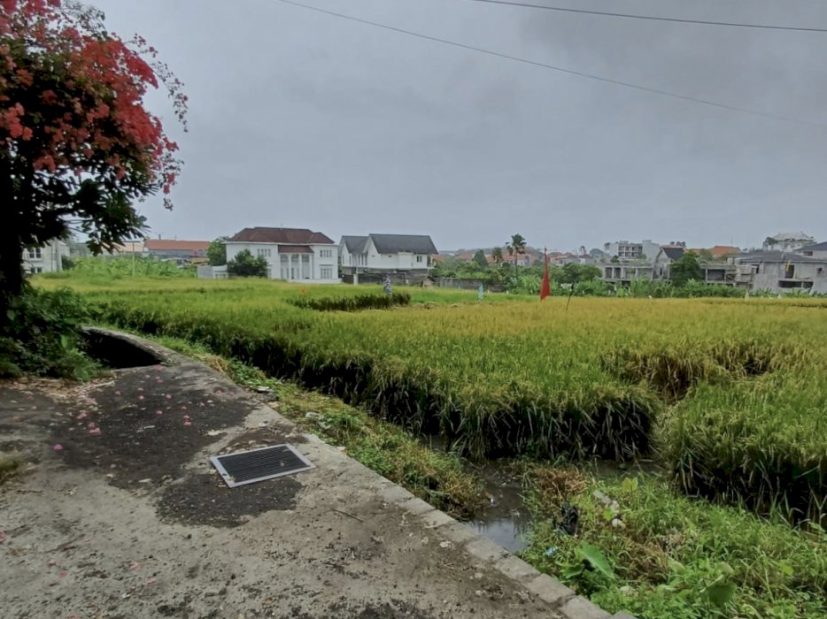 JUAL TANAH PREMIUM DI BERAWA CANGGU DEKAT ATLAS BEACH CLUB