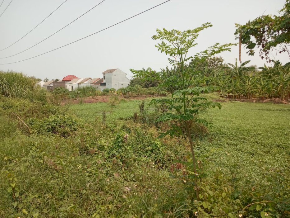 DIJUAL TANAH MURAH LOKASI STRATEGIS