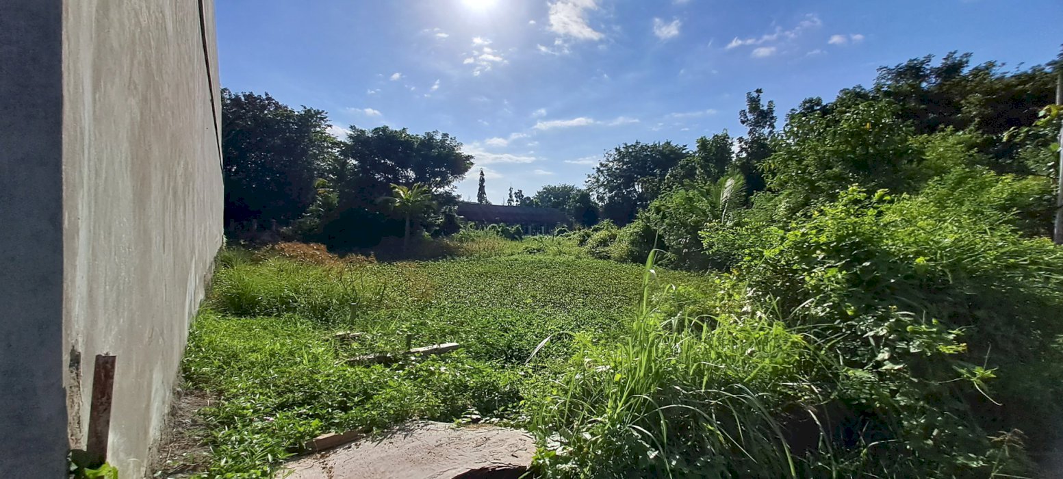 Dijual tanah padat dengan perumahan dan sekolah