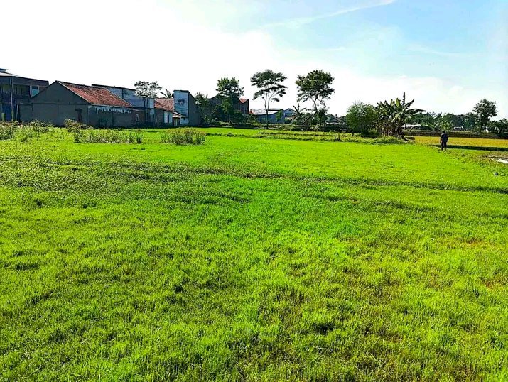 DI JUAL TANAH DAERAH CIBIRU HILLIR